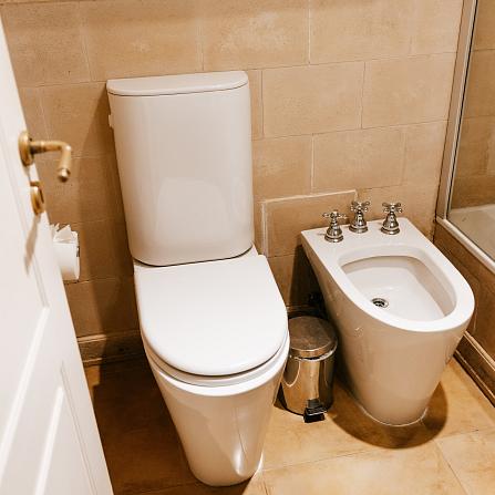 Quarto Standard